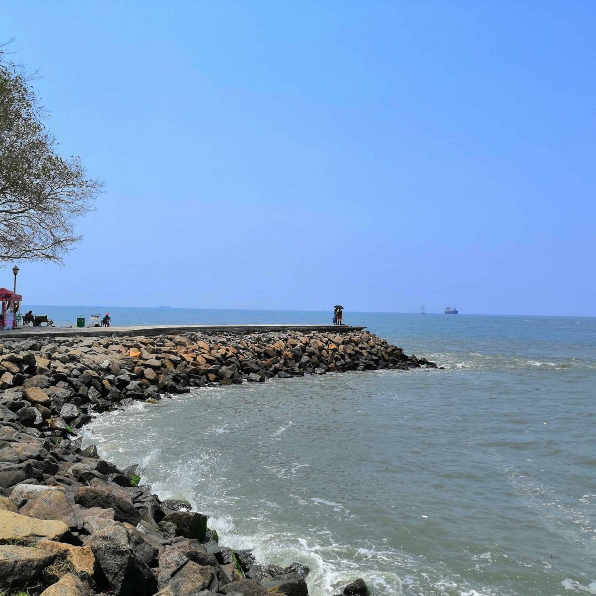 other Image